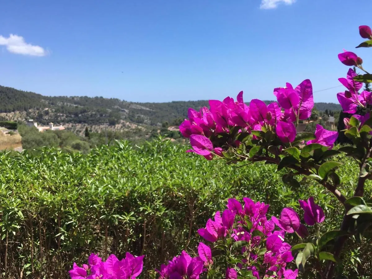 Wunderschoene Ruhige Finca Mit Pool In Galilea Galilea